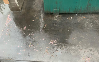 Dumpster Pad Cleaning Dumpster Pad Cleaning