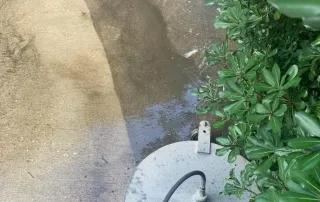 Driveway Cleaning in Sumter, SC